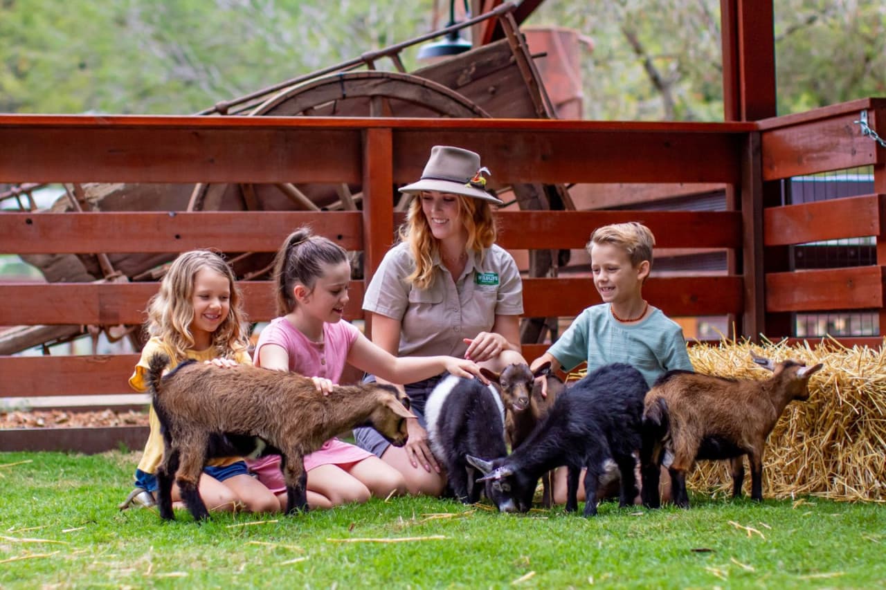 Билет в Currumbin Wildlife Sanctuary на Голд-Косте, фото 3